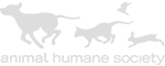 The Animal Humane Society